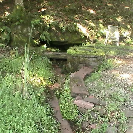 Gite De La Baerenbach Haselbourg Esterno foto