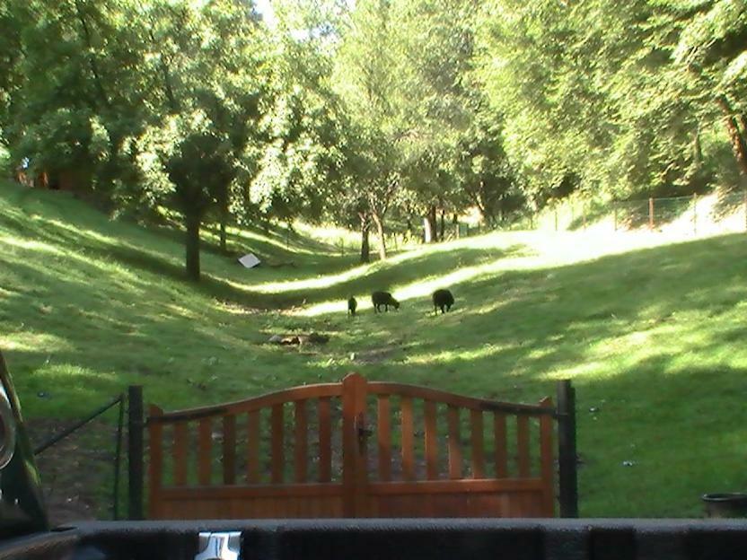 Holiday home De La Baerenbach *